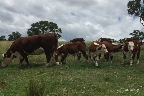 41 Heatherdene Rd, Stannum, NSW 2371