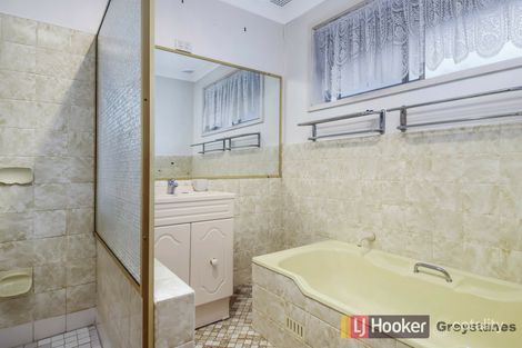 Property photo of 132 Braeside Road Greystanes NSW 2145