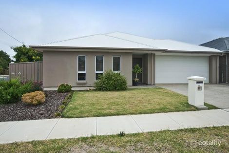Property photo of 1C Wilcox Avenue Morphettville SA 5043