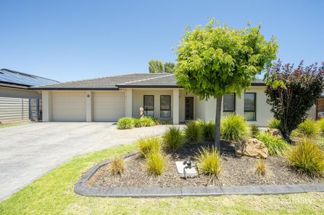 16 Alexandria Ave, Risdon Park South, SA 5540