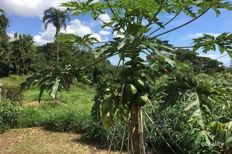 Property photo of 77 Loders Road Duranbah NSW 2487