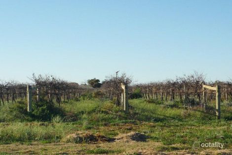 310 Wilga Rd, Red Cliffs, VIC 3496