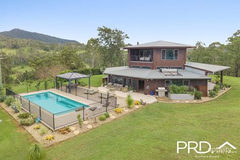925 Gradys Creek Rd, Gradys Creek, NSW 2474
