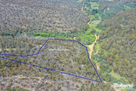 Property photo of 869 Back River Road Magra TAS 7140