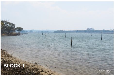 1591 Manning Point Rd, Mitchells Island, NSW 2430