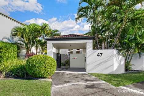 14/47 Kent St, Hamilton, QLD 4007