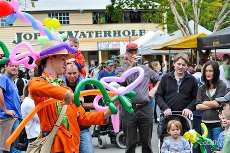 Property photo of 22 Viv Hull Avenue Eumundi QLD 4562