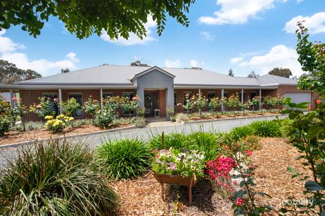 258 Western Hwy, Ararat, VIC 3377