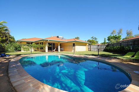 Property photo of 13 Micrantha Place Mountain Creek QLD 4557