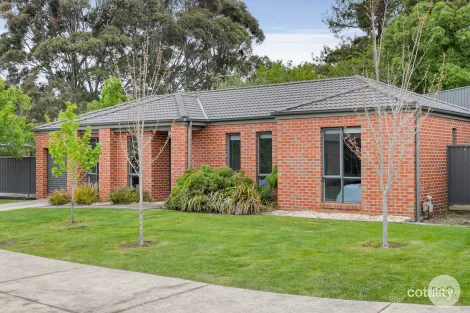 Property photo of 7 Rosie Place Ballarat East VIC 3350