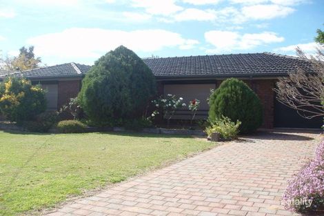 Property photo of 33 Kurrajong Street Red Cliffs VIC 3496