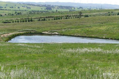 862 Gurrundah Rd, Pomeroy, NSW 2580