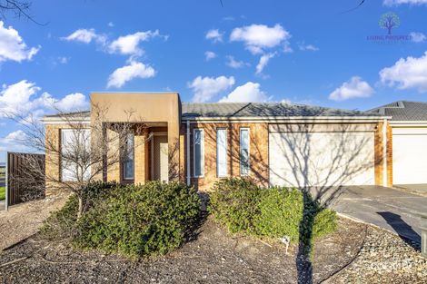 Property photo of 3 Wilandra Drive Tarneit VIC 3029