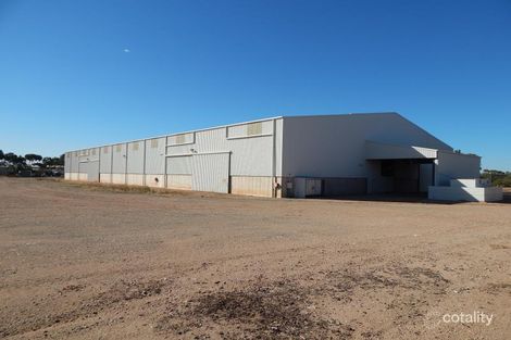 Lot 700 Masters Rd, Cleve, SA 5640