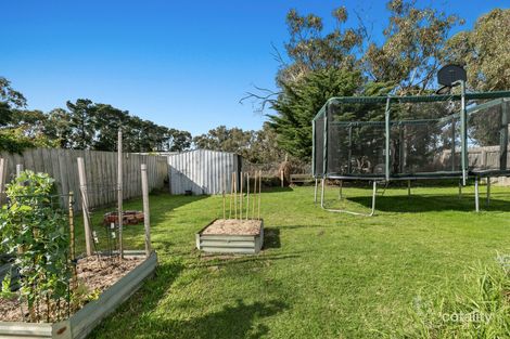 Property photo of 38 Belvedere Terrace Ocean Grove VIC 3226