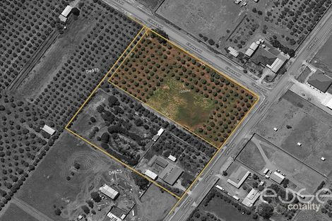 Property photo of 83 Griffiths Road Kudla SA 5115