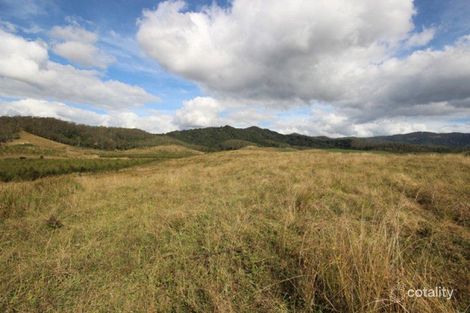 114 Forbes River Rd, Yarras, NSW 2446