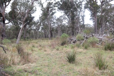 1331 Mount Mckenzie Rd, Tenterfield, NSW 2372