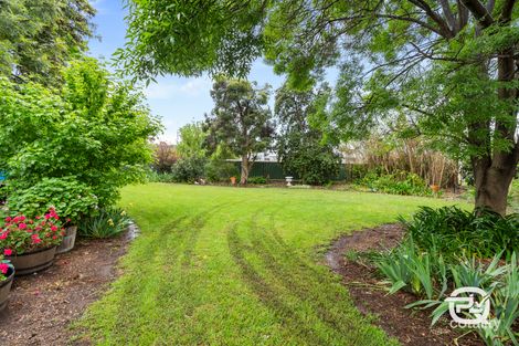 127 Petersham Rd, Leeton, NSW 2705