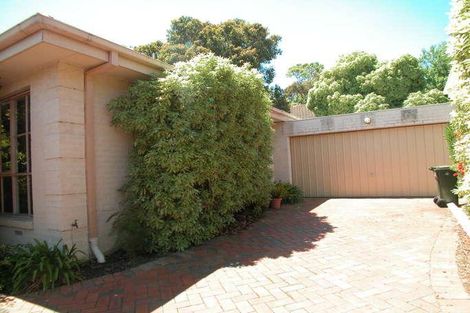 Property photo of 1/63 Park Road Surrey Hills VIC 3127