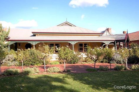 Property photo of 11 Alpha Road Prospect SA 5082