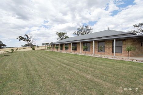 Property photo of 210 Bashams Lane Young NSW 2594