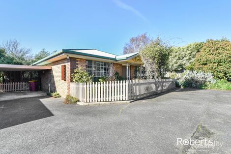 Property photo of 4/5 Campbell Street Newstead TAS 7250