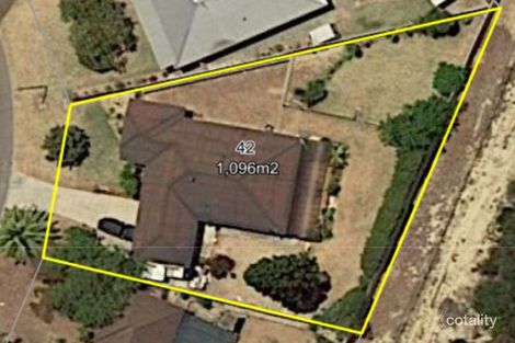 Property photo of 42 Richards Crescent Craigie WA 6025