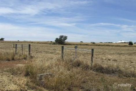 Property photo of 10 Zamia Place Gabbadah WA 6041