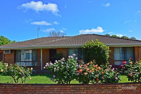 Property photo of 1/113 Knight Street Shepparton VIC 3630