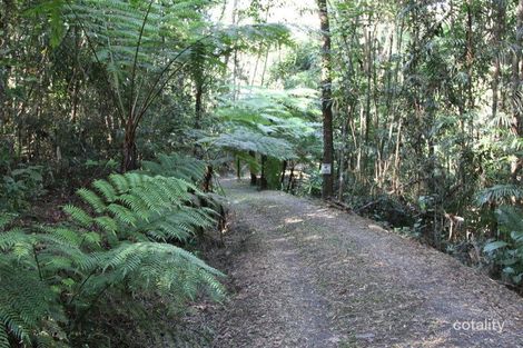 Property photo of 10 Shiva Close Kuranda QLD 4881