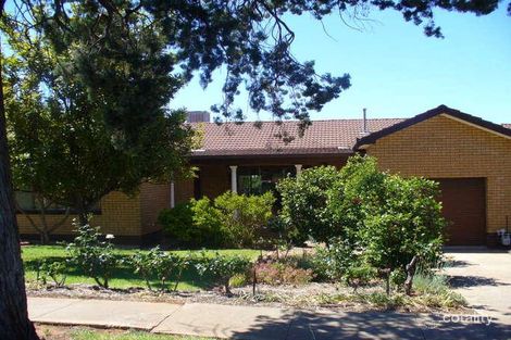 20 Noorebar Ave, Griffith, NSW 2680