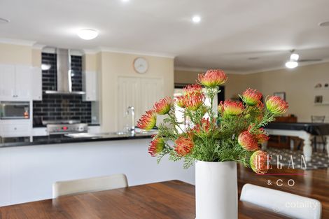 Property photo of 2 Placid Court Narangba QLD 4504