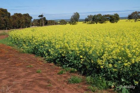 Property photo of Nerang Close Georgina WA 6532