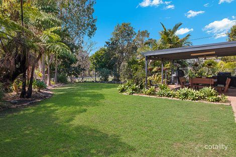 Property photo of 141 North Arm Road Murwillumbah NSW 2484