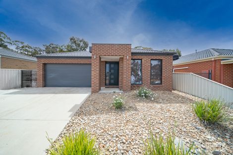 43 Manna Gum Dr, Epsom, VIC 3551