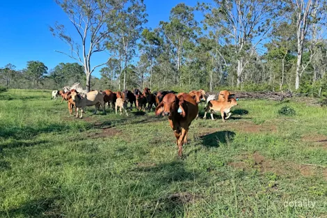 746 Fireclay Rd, Kalpowar, QLD 4630