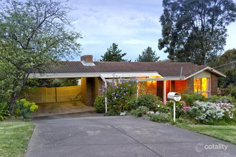 Property photo of 19 Shoubra Drive Highton VIC 3216