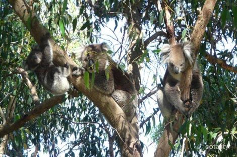 33 Longview Ave, Belair, SA 5052