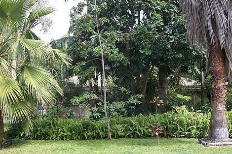 Property photo of 1 Macadamia Court Bushland Beach QLD 4818