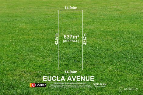 Property photo of 7 Eucla Avenue Warradale SA 5046