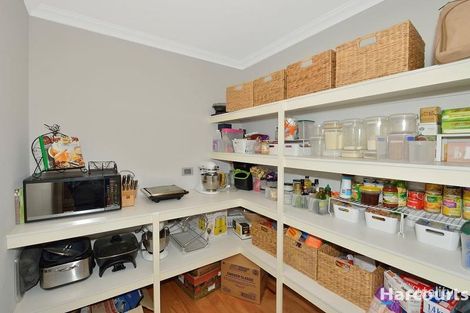 Property photo of 11 Solandri Turn Halls Head WA 6210