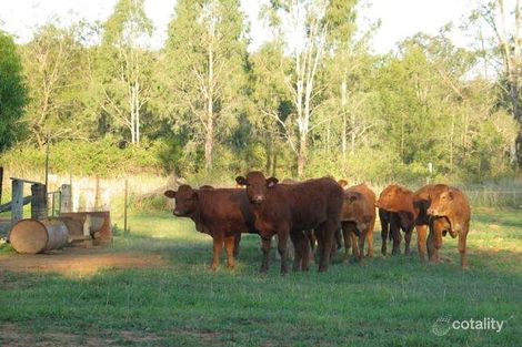 Property photo of 255 Sandy Creek Road Grantham QLD 4347