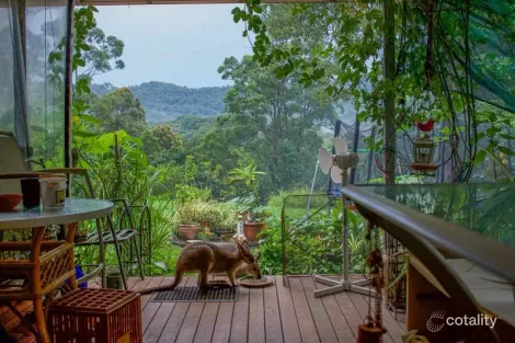 Property photo of 29 Basil Road Nimbin NSW 2480