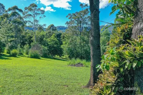Property photo of 29 Basil Road Nimbin NSW 2480