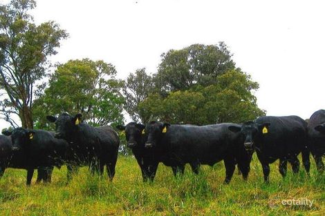 616 Mitchell Hwy, Orange, NSW 2800