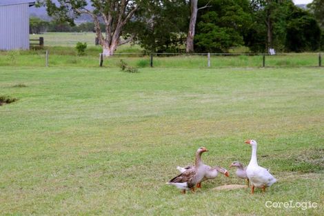 Property photo of 127 Toolborough Road Yandina Creek QLD 4561