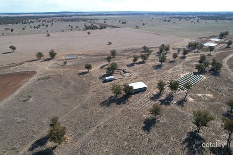 Property photo of 3082 Bogan Road Peak Hill NSW 2869