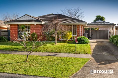 11 Michelle Dr, Berwick, VIC 3806