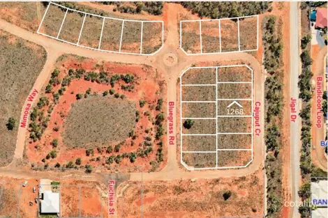 39 Cajuput Cres, Djugun, WA 6725